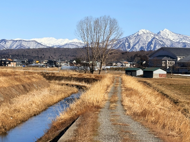 遠くの雪山と散歩コース